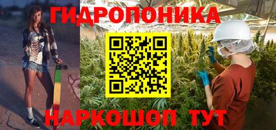 винт Кингисепп