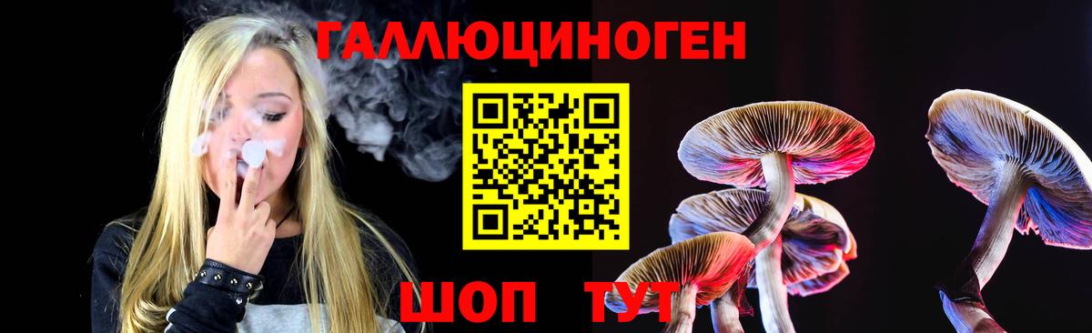 Качканар  купить наркоту  Вход с VPN  Галлюциногенные грибы Magic Shrooms 